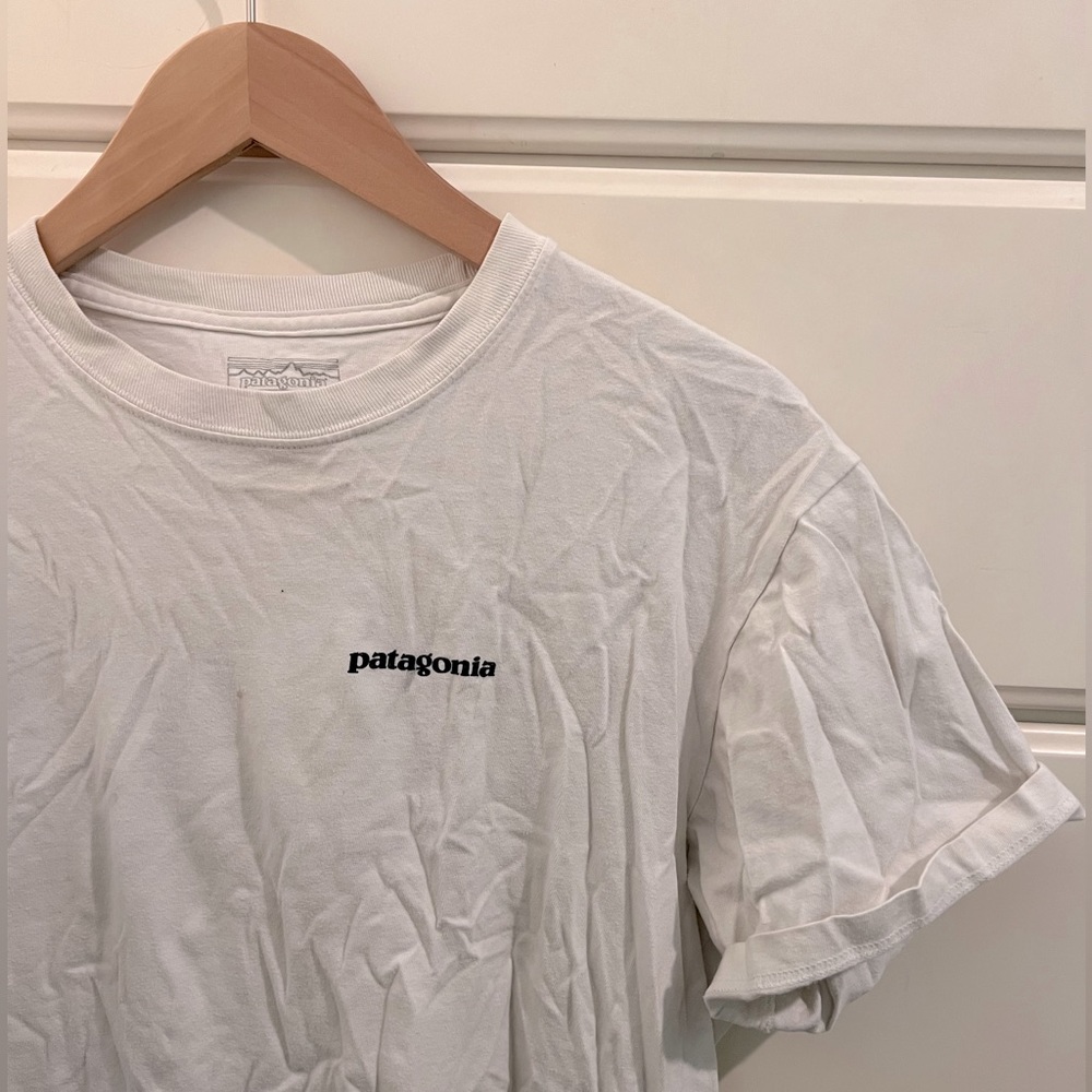 Patagonia Big Logo T-Shirt